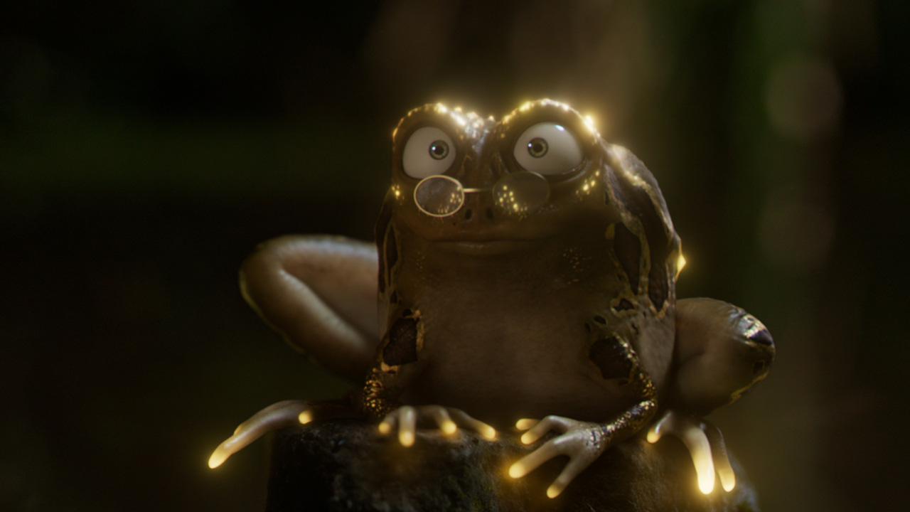 Willi and the Wonder Toad