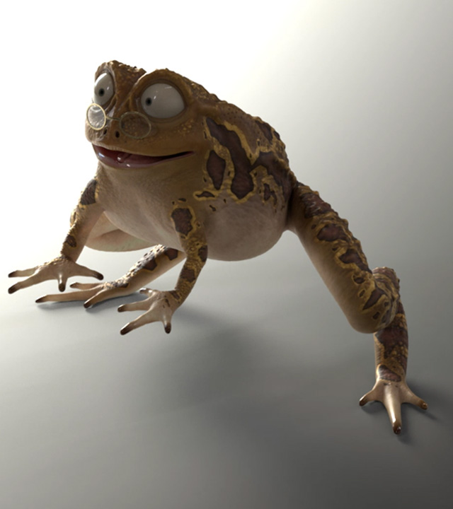 Willi and the Wonder Toad