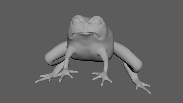 Willi and the Wonder Toad
