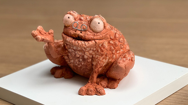 Willi and the Wonder Toad
